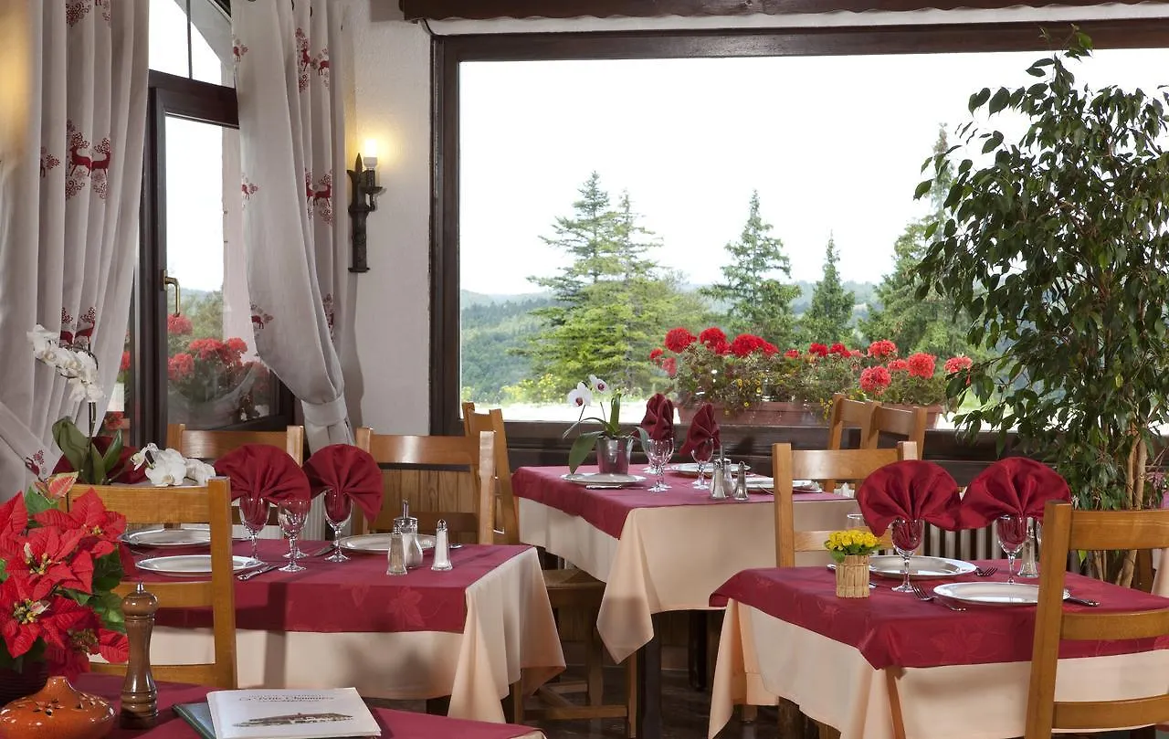 Hotel La Petite Chaumiere à Gex France
