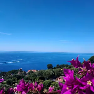 Azur Appartement Cap-d'Ail